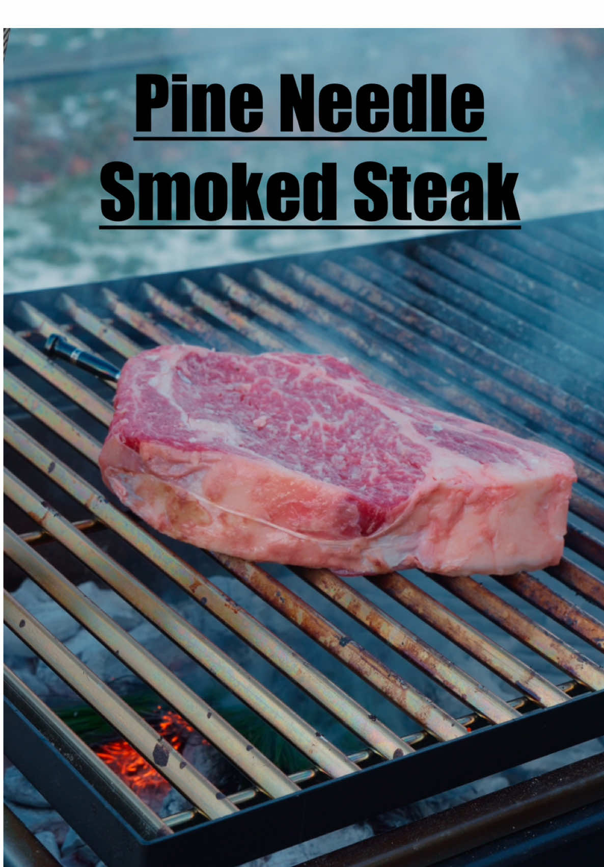 I found out that people used to use some very unique things to smoke and flavor to their meat back in the day, and I’ve picked a few to try out for myself starting with this one!  I picked up some Fresh Pine Needles from a tree farm, and like I mentioned in the video… please pay attention to where you get the pine needles before using them with your food!  This cook was about 20-25 minutes in total on my @FYRSTARTER grill, and I used lump charcoal and a lot of fresh pine needles to get the steak up to 110-115°F before dropping it close to the coals for a final sear. I recommend pulling it off when the steak hits 125° internal for a ribeye cooked this way! It’ll rest up to 132-134° Then just make sure to rest it for atleast a 7-10 mins, and then slice it up and enjoy!!  The flavor was amazing, but not really worth the cost to add the pine needles! #food #steak #Recipe #smokedmeat #smokedsteak #steakdinner #steaklover #steakhouse #Foodie #foodiegram #grilling #grilled 