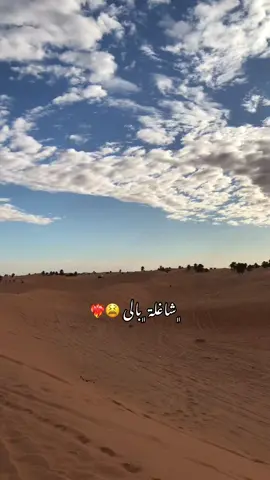 #شاغلة بالي 🧡 #انتي #المنيعة❤_تمنراست_👌🏻عين_صالح🌹_اليزي_جانت #هاشتاقات_تيك_توك_العرب #المنيعة❤_تمنراست_👌🏻عين_صالح🌹_اليزي_جانت #ورقلة_غرداية_وادسوف_تقرت_حاسي_مسعود #المنيعة___وتحيآ__نآس__صحرى_💛 