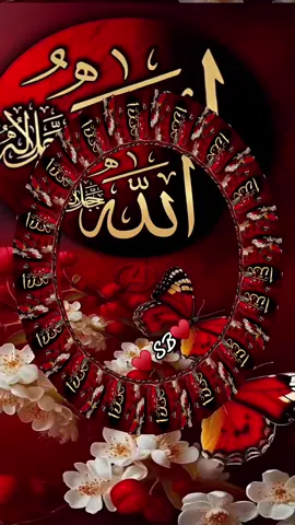 #♥️sb♥️🤝 #muslimtiktok #islamic_video #allah❤️ #fypシ 
