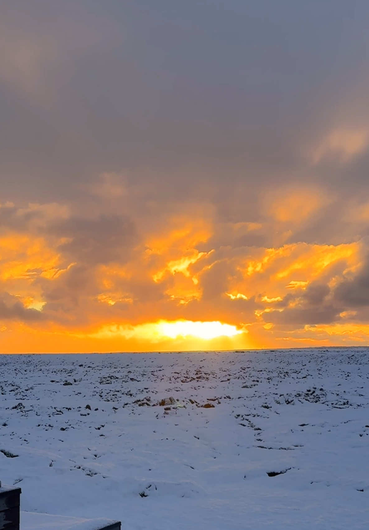 😭🇮🇸🩵 no time to put on shoes! The most stunning Icelandic sunset 😍 the way the rays came out at the end. Sunset chaser for life ::  #iceland #bluelagoon #retreatatbluelagoon #icelandsunset #sunsets #travetok #travelinspo #travelgirl #🌅 #sunsetchaser #travel #icelandadventure #icelandtiktok 