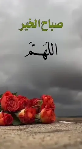 #صباحكم_سعادة_وعافية_وراحه_بال🌷🍃 