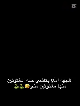 @🌺وتين الروح🌺 #كركوك_مدينتي #بغداد_بصرة_موصل_الكويت_الخليج_دبي 