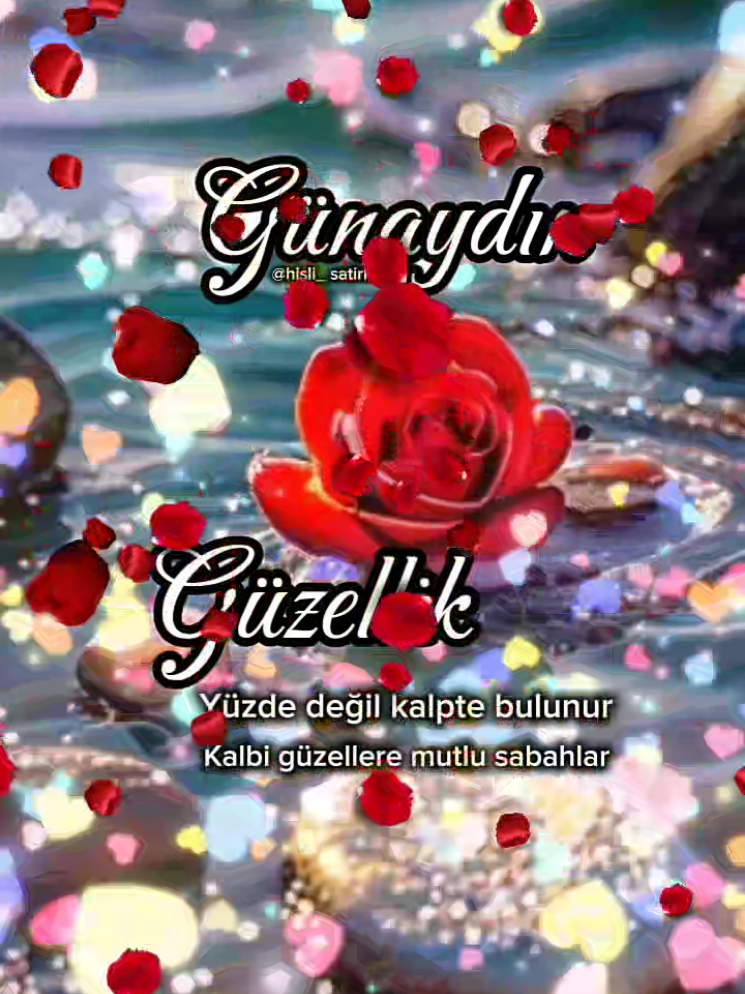 GÜNAYDIN 🌹🕊 Mutlu Pazarlar  #günaydın #mutlusabahlar #günaydın_hayırlı_sabahlar  #günaydınmesajı #pazar #haftasonu #keşfet #tiktok