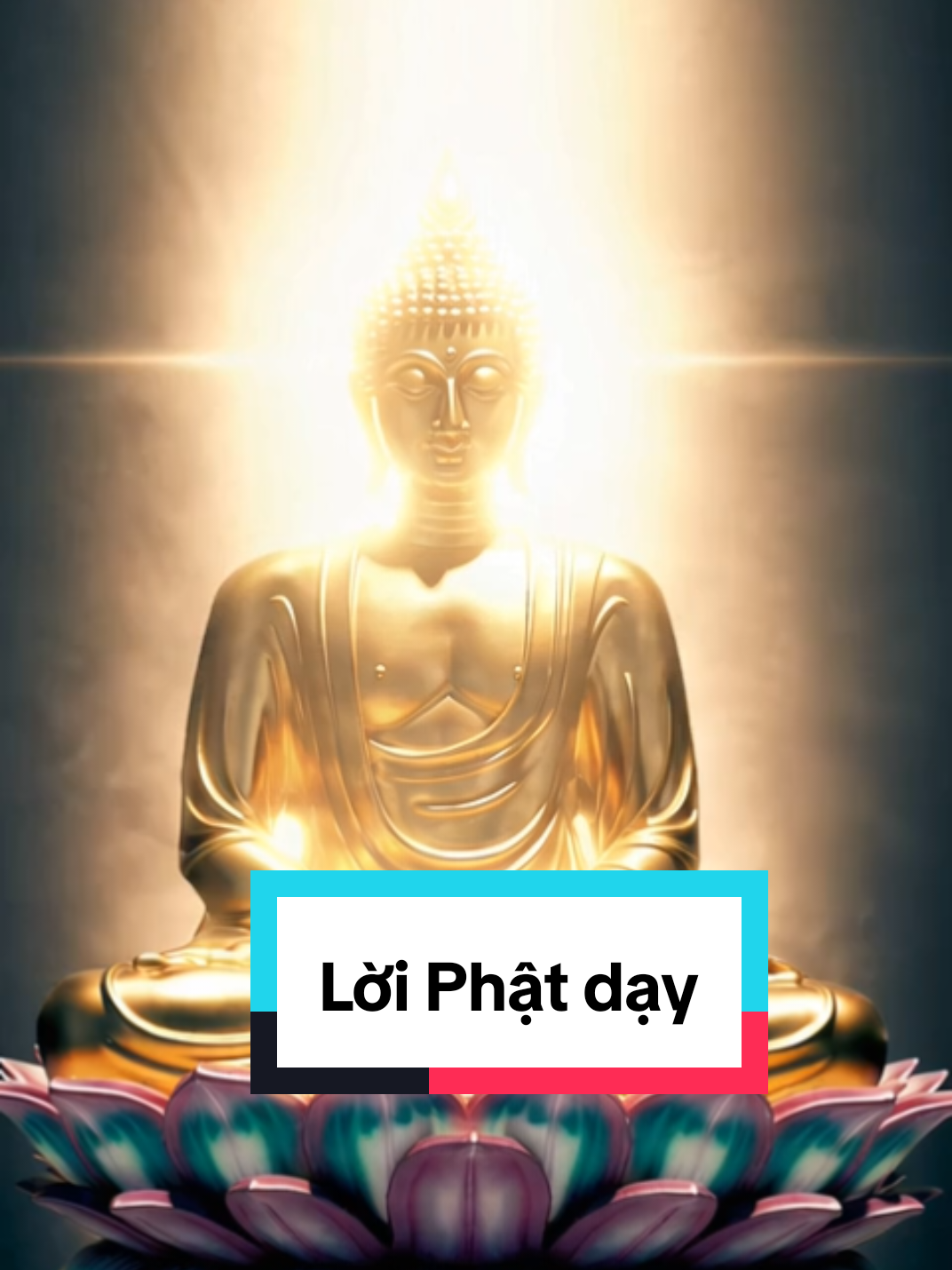 Hãy sống một đời thiện lương, phước lành sẽ tự tìm đến! #loiphatday #ducphat #thienluong #tinhtuy #nhungdieutinhtuy #thinhhanh #xuhuong #trending 