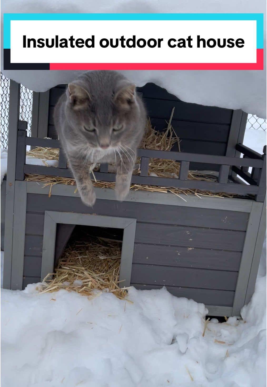 This insulated cat house is perfect for outdoor cats🥰🫶 #cathouse #outdoorcathouse #outdoorcat #cats #cattok #spotlightfinds 