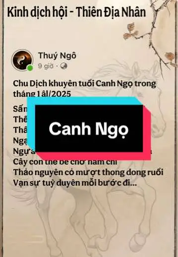 #kinhdichhoithiendianhan #dichsuthuyngo #tiktokvn #12congiap #xemtuoi #canhngo1990 