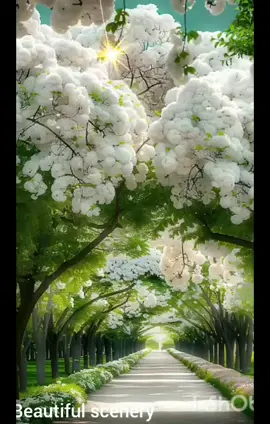 Beautiful scenery #scenery #beautiful #nature #view #views #relaxing #spring #flower #flowers #sun #day #japan 