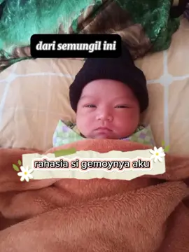 rahasia gemoy si kecil akuh #pejuangasi  #almomasibooster   @yummys.momnbabe @almom.official 