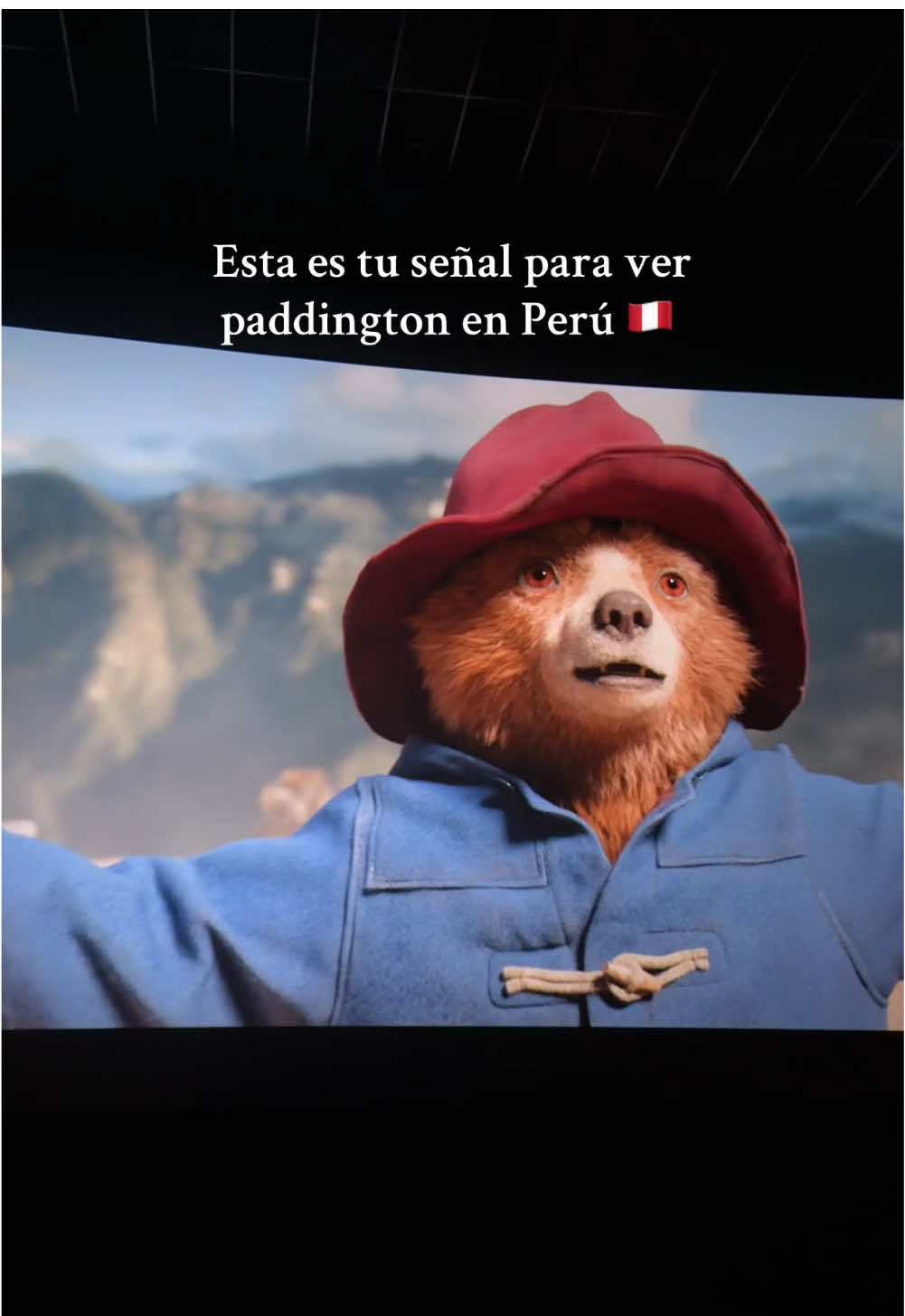 #paddington #paddingtoninperu #fyp