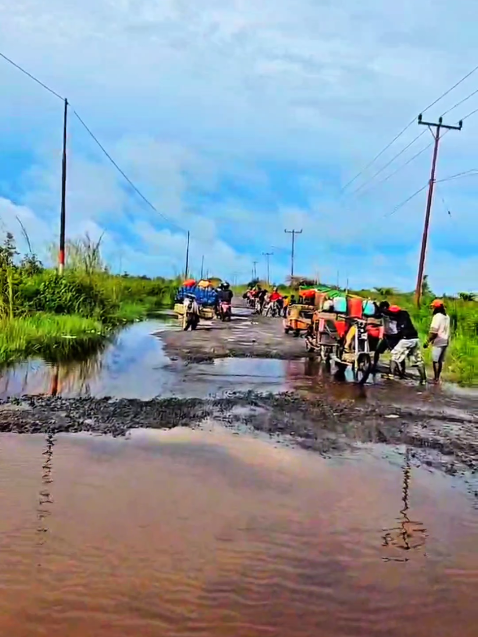 Ubur ubur ikan lele jalan pelang macam kolam lee#ketapang #ketapangkalbar #kalimantanbarat #jalanrusak 