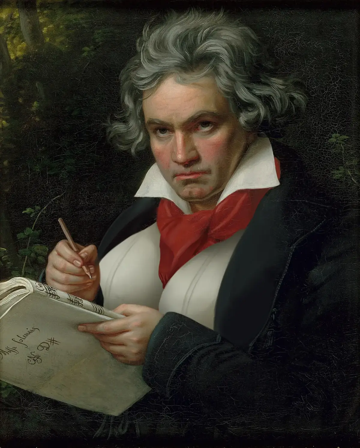 #ludwigvanbeethoven #beethoven #classicalmusic 