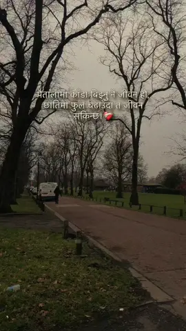 #capcut #art_ey #fypシ゚viral #oldisgold #moorpark #uk #🇬🇧🇬🇧 #view 