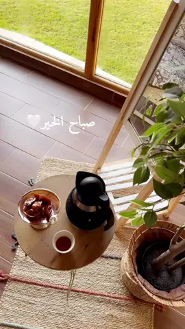 #صباح_الخير ###الكويت🇰🇼 #السعوديه #الشعب_الصيني_ماله_حل #اكسبلور ##foryou #2025 #اكسبلورexplore 