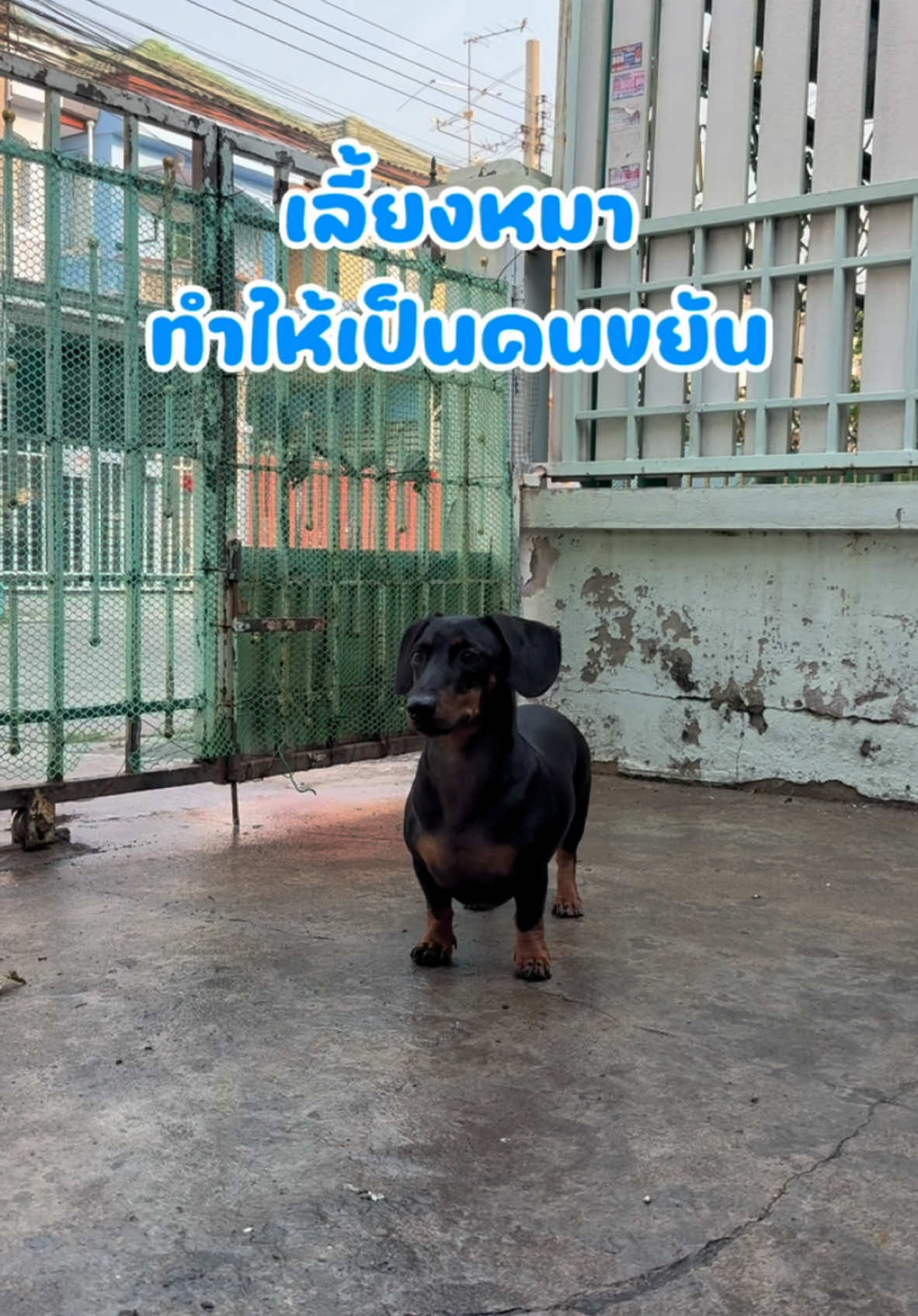 #สวนสัตว์tiktok #PetsOfTikTok #สัตว์เลี้ยงtiktok 