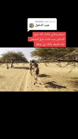 الرد على @.9192098  كردافه النااس القيافه دارحامد عزي وفخري وسندي 