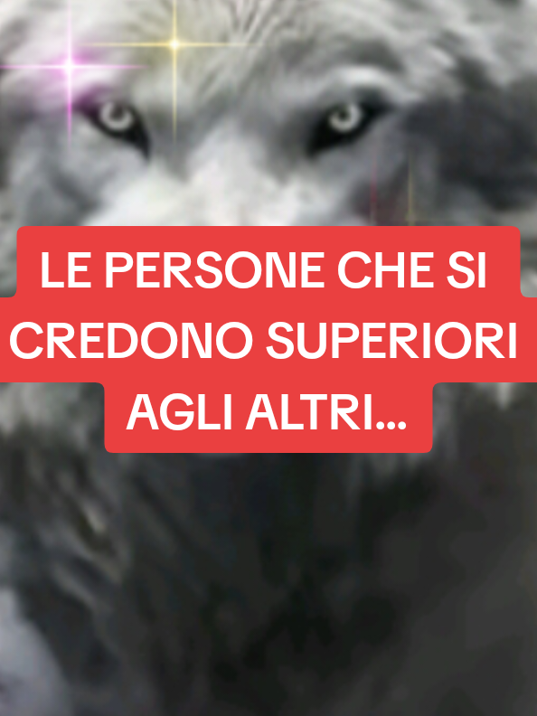 #le #persone #che #si #credono #superiori 