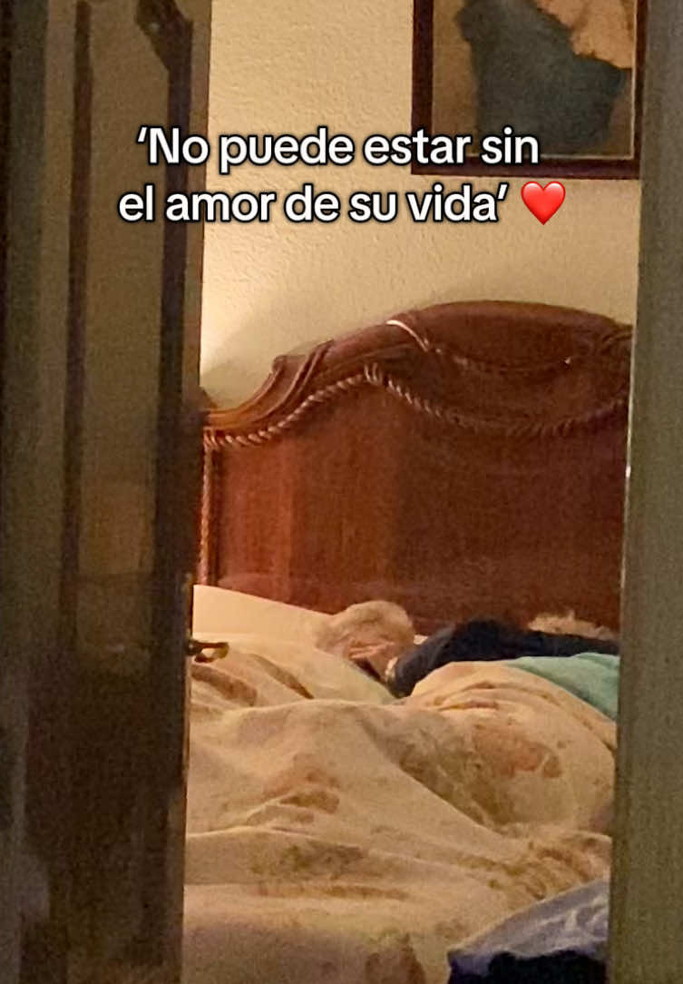 Ayer tuvimos un gran susto con Francisquita, se nos desmayó por una bajada de tensión y perdió el conocimiento, y estuvimos todo el día en el hospital, y cuando volvimos, presencié esta imagen tan bonita, donde mi abuelo, la acariciaba la cara, la hacía bromas, y la preguntaba que que la habían hecho si se lo quería contar… ❤️ Se le hizo el día eterno, preocupado por cómo estaría su acompañante de vida desde hace ya casi 70 años, no pueden estar el uno sin el otro, pese al alzheimer de mi abuela, siempre le sale su ‘Nicolas’ de la boca inconscientemente ❤️‍🩹 Lo importante es que solo fue un gran susto, pero está muy bien, gracias por preocuparos tanto por ella 🍀  #alzheimer #nieto #parati #abuela #abuelos #vida #juntos #vejez #porsiempre #parasiempre #mayores #salud #cuidados #tiempo #sonrisas #plenitud #personasmayores 