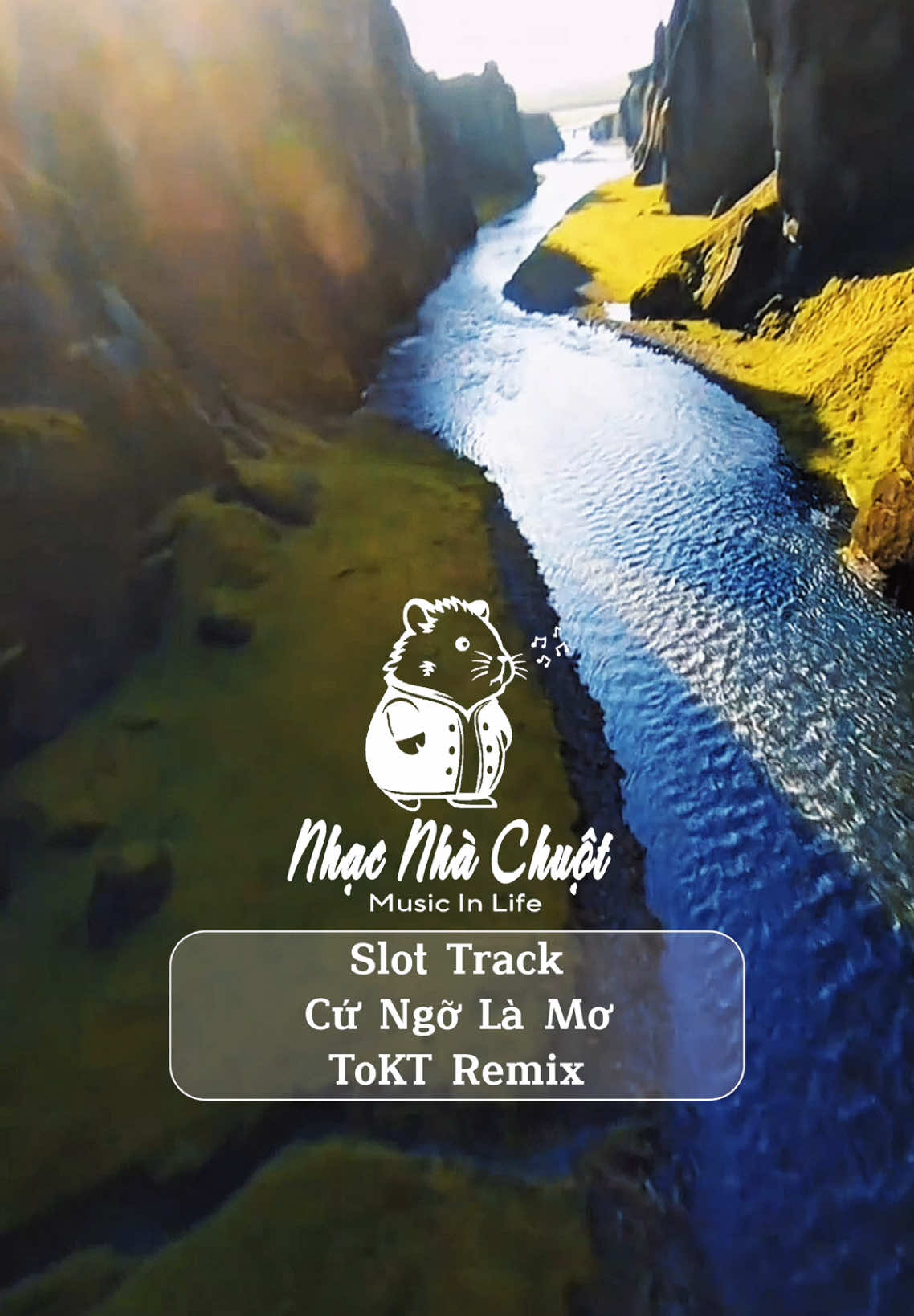 Cứ Ngỡ Là Mơ Remix #TPD #nhacnhachuot #TikTokAwardsVN #2024 #xuhuong #dcgr #xuhuongtiktok #houselak #nhachaymoingay #trending #viralvideo #nhacremix 