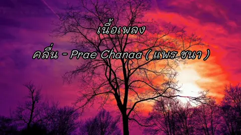 #เพลง#คลื่น - Prae Chanaa ( แพร ชนา )#เนื้องเพลง#เพลงเพราะๆโดนใจ🥀❤❤🥀#เต็มเพลงนะคับ🥰🥰🥀