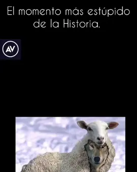 ¿Vivimos el momento más estúpido de la Historia?  #replik  #sociedadactual  #sociedadenferma #1984 #rap #trap #versificar #foryou #parati  #reels__tiktok  #viralvideo  #eldespertar  #fypシ