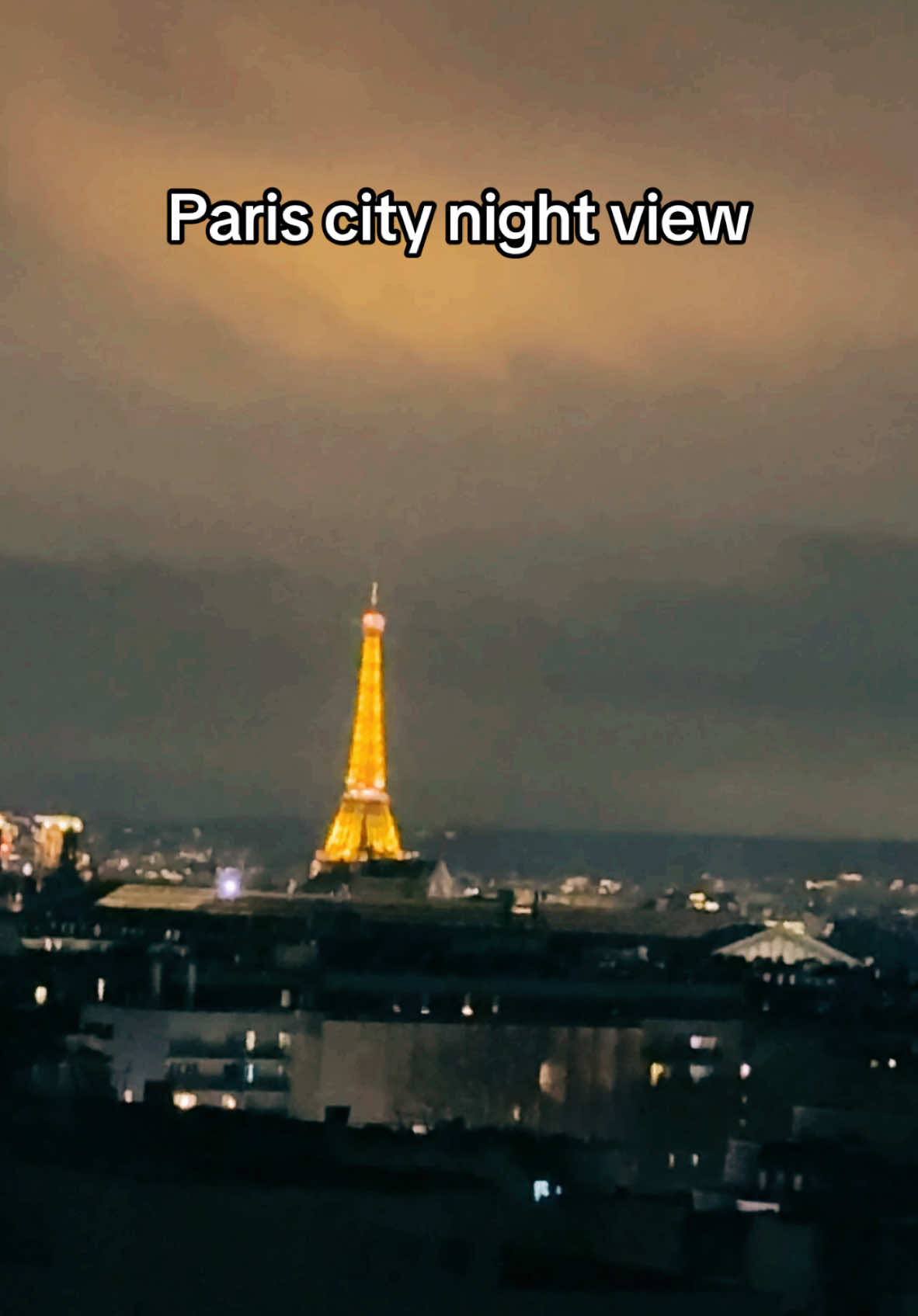 Watching paris night view really amazing guys #paris #french #sakilmahmudvlogs #visiteurope 