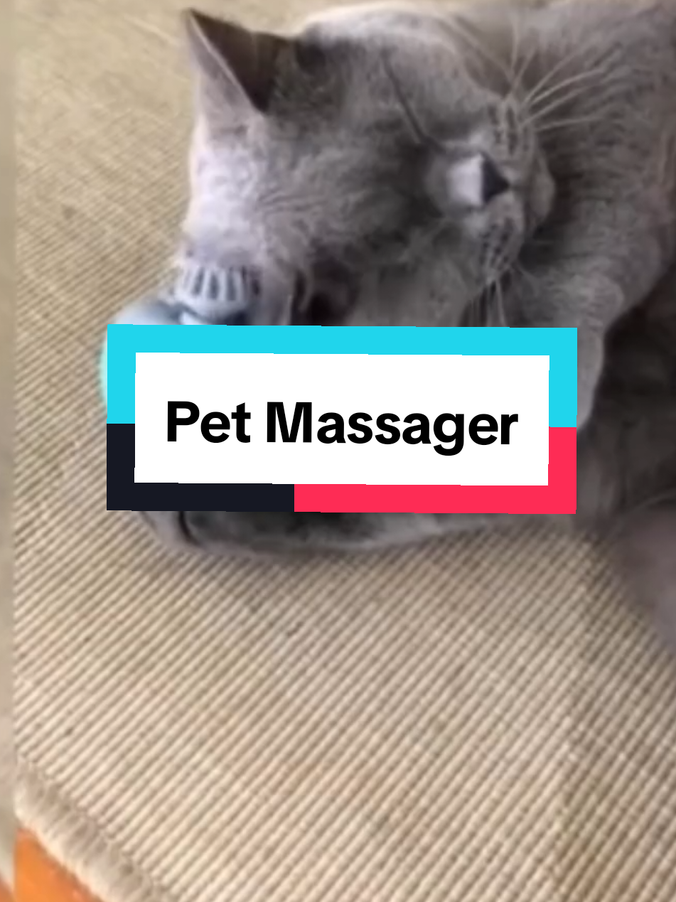 pet massager #petsupplies #petessentials #petmassager #massagerforpet #petproducts #petcare #trend #fyp 