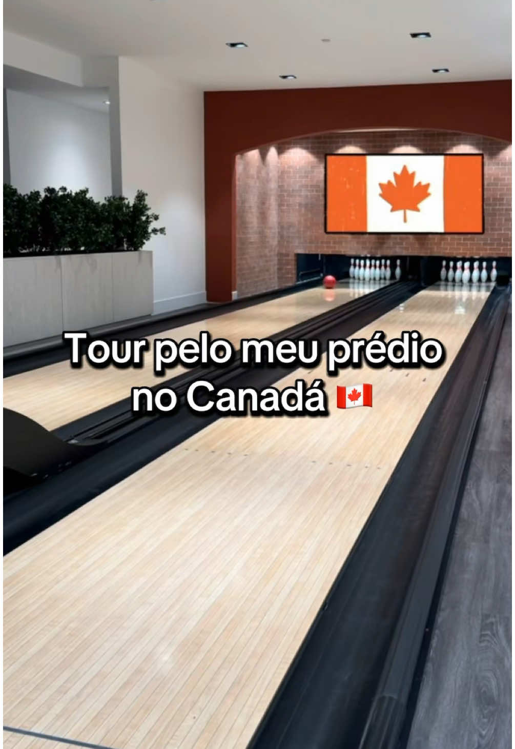 Aos que me pediram: desculpem pela demora kkkk 🤪🇨🇦 PS: a sauna está em manutenção, por isso entrei no banheiro masculino sem problemas (não está sendo usado). ➡️ respondo mais rápido no Instagram (@canadabybella) #creatorsearchinsights #imigrante #morarfora #imigrantesbrasileiros #brasileirospelomundo #vidadeimigrante #imigracao #canada🇨🇦  #brasileirosnagringa #morarnocanada #estilodevida #qualidadedevida #intercambio #intercambiocanada #estudarnocanada #canada_life🇨🇦 #brasileirosnocanada #neve #nevando #nevasca #arpuro #blackice #flocodeneve #brasileirosporai #mudancadevida #mudardevida #inverno #frio #temperaturabaixa #imigrarparaocanada #mudardepais #temperaturabaixa #vidanoexterior #morarforadobrasil #rotinadafamilia #frio #abaixodezero #trabalharfora #morarforadobrasil #vidanoexterior #emprego #vagadeemprego #empregocanada #jobbank #jobbankcanada #indeed #linkedin #visa #visto #visasponsorship #asmr #asmrlimpeza #cleaning #cleanasmr #morarnoexterior #morarforadobrasil #vidadeimigrante #planocanada  #minivlog #asmrsounds #brasil #cultura #choquecultural #brasil🇧🇷 #diferença #ambiente #estilodevida #mindset #depressao #diferençasculturais #apartamento #aluguel #alugueldeimoveis #condominio #predio #morarbem #viverbem #areadelazer #lazer #familia #casabonita #conforto #boliche #sinuca #sauna #entretenimento #diversao #piscina #academia #pebolim #bar #curtiravida #vidanocanada #natureza #paisagem #paisagembonita #kitchener #kitchenerwaterloo #canada 