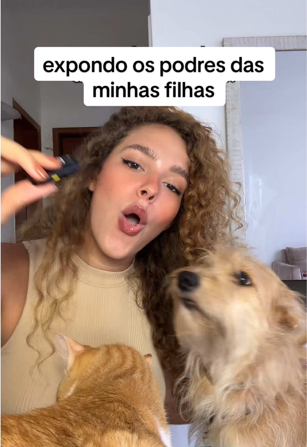 Expondo uma fiapo de manga, uma gatinha laranja e uma gatinha tricolor 🐕🐈😻  #gatoecachorro #cachorroegato #gatosengraçados 