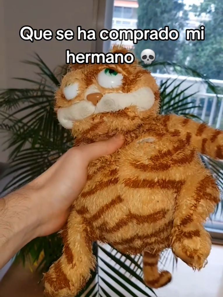 Consigue tu peluche del gato García en el link de la bio #garfield #mantecado #peluche 