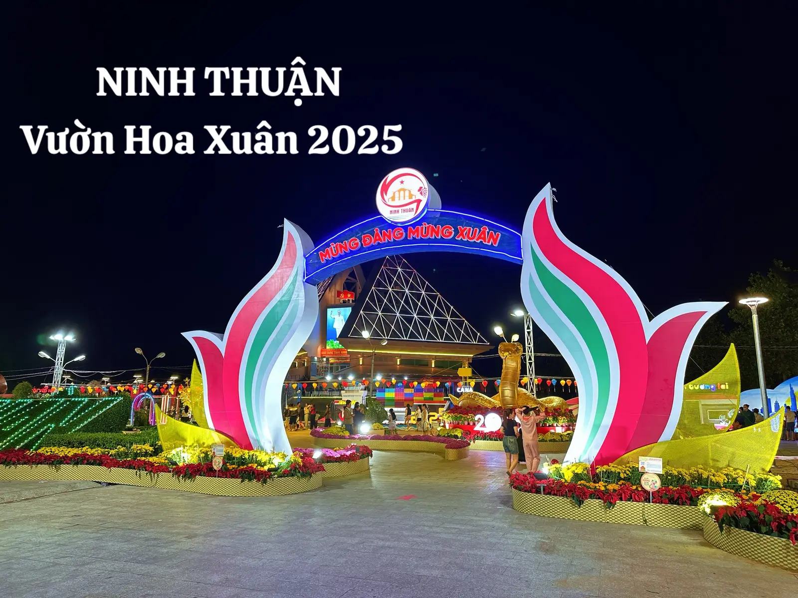 Vườn Hoa Xuân Ninh Thuận 2025 #phanrang #ninhthuan #alo85 #tết 