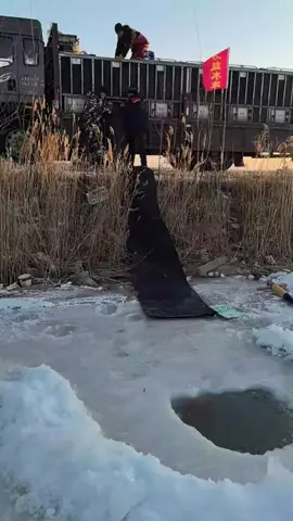 Adding fish to the pond did not go to plan