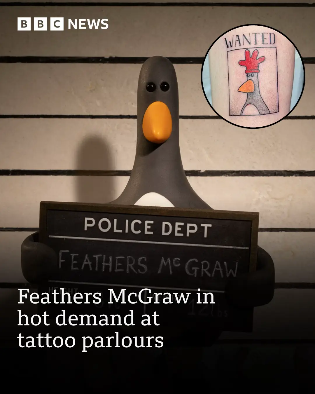 Would you get a Feathers McGraw tattoo? 🐧 #WallaceAndGromit #Art #Wallace #Gromit #Evil #FeathersMcGraw #Feathers #Tattoo #Liverpool #News #BBCNews