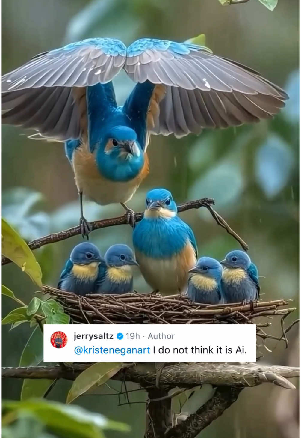 You may have seen this AI generated video (or something similar) pop up in your feed recently. At first glance, you may have been fooled into thinking it was ‘real life’.  In fact, senior art critic @jerrysaltz from the @nymag posted it to his feed yesterday as a legitimate video. When informed in the comments section that it was in fact AI, he doubled down by replying several times with “I do not think it is AI.” If one of the most renown art critics of our generation can be tricked into thinking that something is real when it is actually AI, what hope is there for the rest of us?  What hope is there for artists who put their every being into producing beautiful pieces of ORIGINAL, authentic art for us to discuss, admire, and hopefully… purchase? What can be done to curb the threat of AI taking over and putting the talented artists we feature every day out of work?  Or… is it already too late? 🤷🏽‍♂️😳☠️ #fyp #foryou #ai #art #artists #artist #aiart #birds #jerrysaltz 