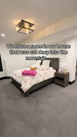The “playroom”