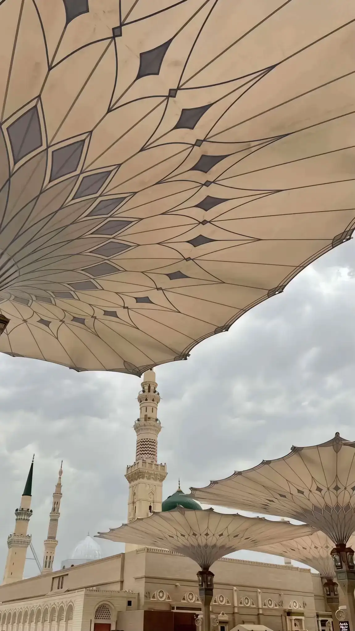 وداعا يا مدينة رسول الله وفي القلب اشتياقا للعودة 🤍  اللهم لا تجعلني اغادر هذا المكان الشريف إلاقد غفرت ذنبي وفرحت همي وقضيت حاجتي 🤲🤍 #المدينه_المنوره #صلي_علي_النبي #مسجد_نبوی_شریف#اللهم_صلي_على_نبينا_محمد  #المدينة 