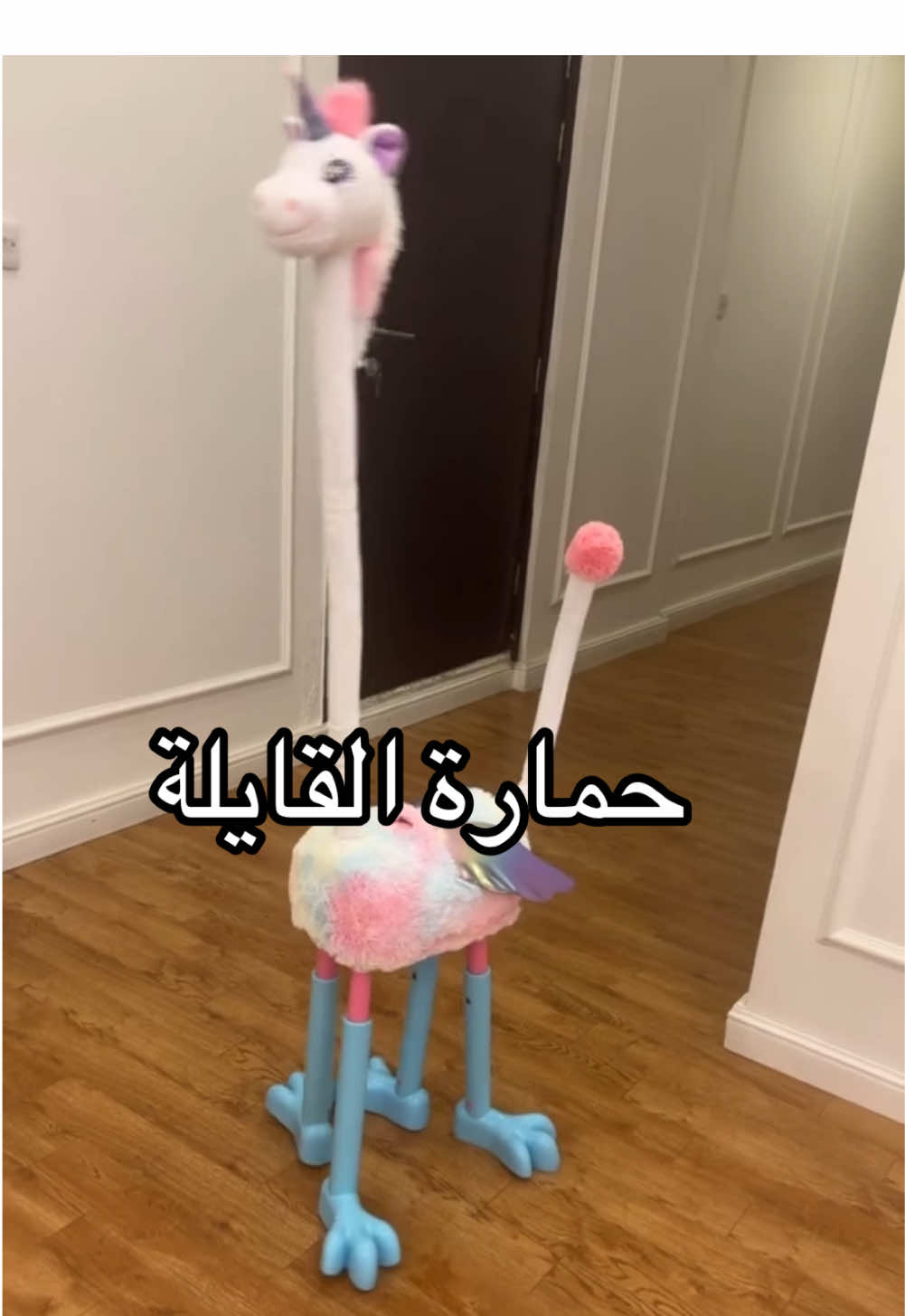 اللي ما شاف حمارة القايلة من قبل