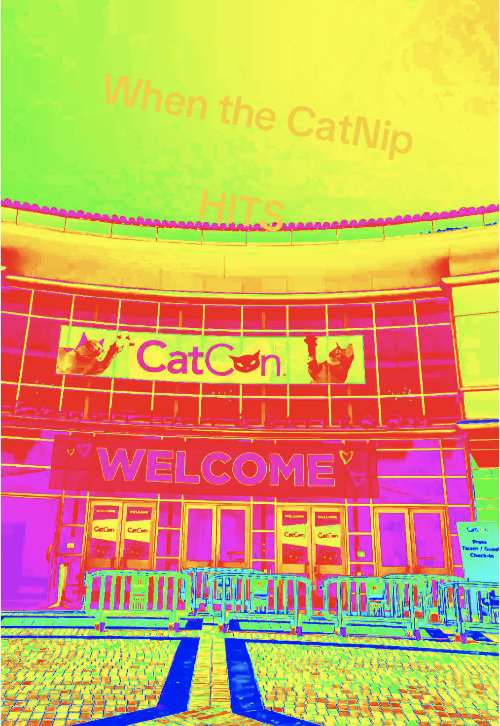 This new ish be too strong #kittytok #cattok #catsoftiktok #fypcat