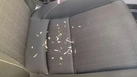 Aspirador de pó portátil para carro de 12v para removedor de pelos de animais de estimação  Link https://temu.to/k/umeoo0bf0yg