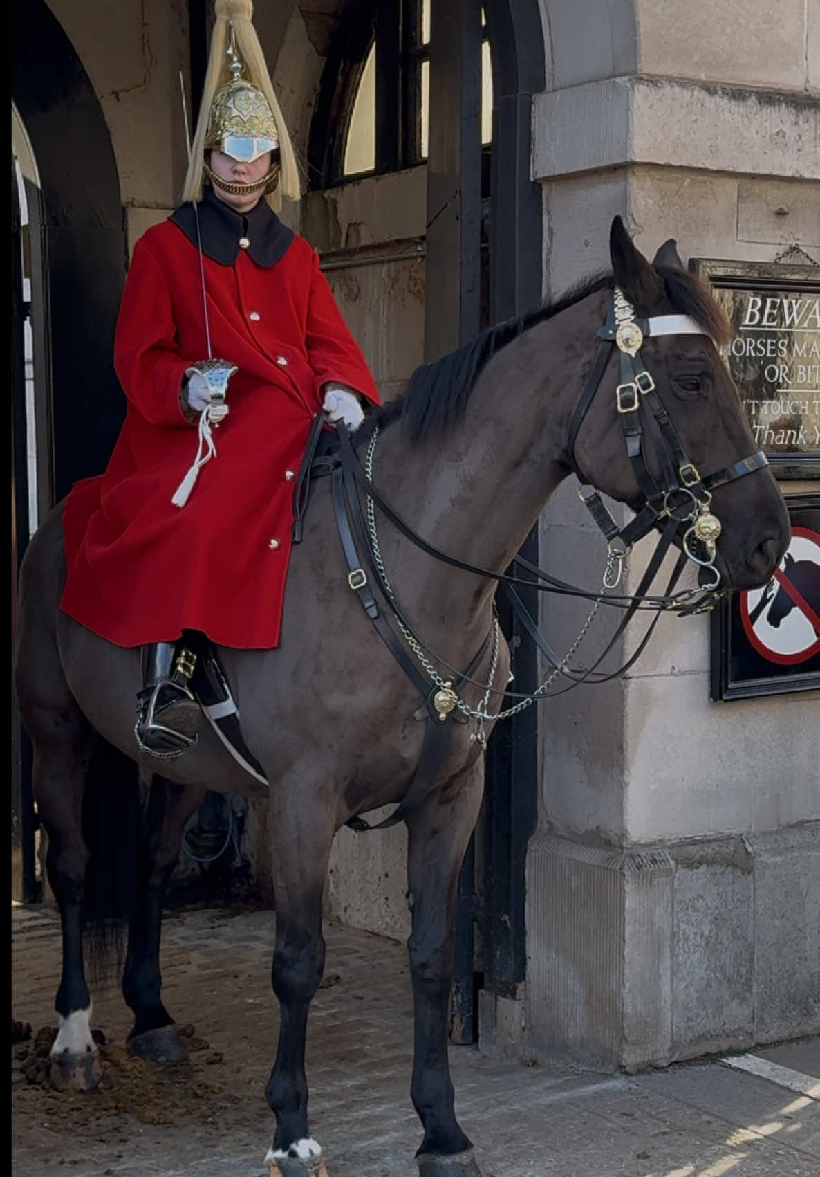 Sunny Adventures: Tourists Enjoying Horse Guards!