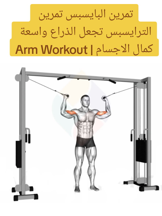 تمرين البايسبس تمرين الترايسبس تجعل الذراع واسعة كمال الاجسام | Arm Workout عضلة البايسبس,عضلة الترايسبس,تمارين البايسبس,تمارين الترايسبس,تمارين الباي والتراي,تمارين البايسبس والترايسبس,تمارين الذراع,أفضل تمارين البايسبس,تمارين البايسبس والترايسبس بالدمبلز,اقوى تمارين الذراع #armworkout​  #biceps #bicepsexercises #bicepsworkout #Active_gym #gym #bodybuilding #Fitness #sport #tricepsworkout #triceps #كمال_الاجسام #تمارين_رياضية #تمارين #تمرينه_باي #تمرينه_دراع #تمرينه_تراي #تمرينة 