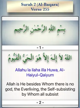 Learn One Of The Most Powerful Verse In The Quran! Ayatul Kursi  #quran #alhumdulillah #1deenislam #islamic_video #ayatulkursi #fyp #foryoupage #deen #allahuakbar #allah❤️ #prayer #salah 