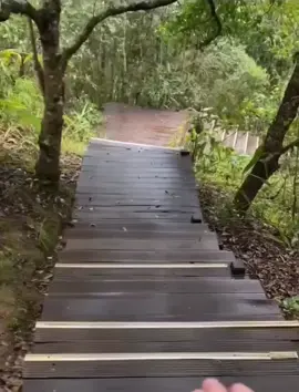 #monkey #Jerry #jungle #wildlife #funny #🤣🤣🤣 #🤣🤣 #🤣🤣🤣🤣 #grapes #stairs #quitmonkeyingaround  #monkeyingaround #monkey 