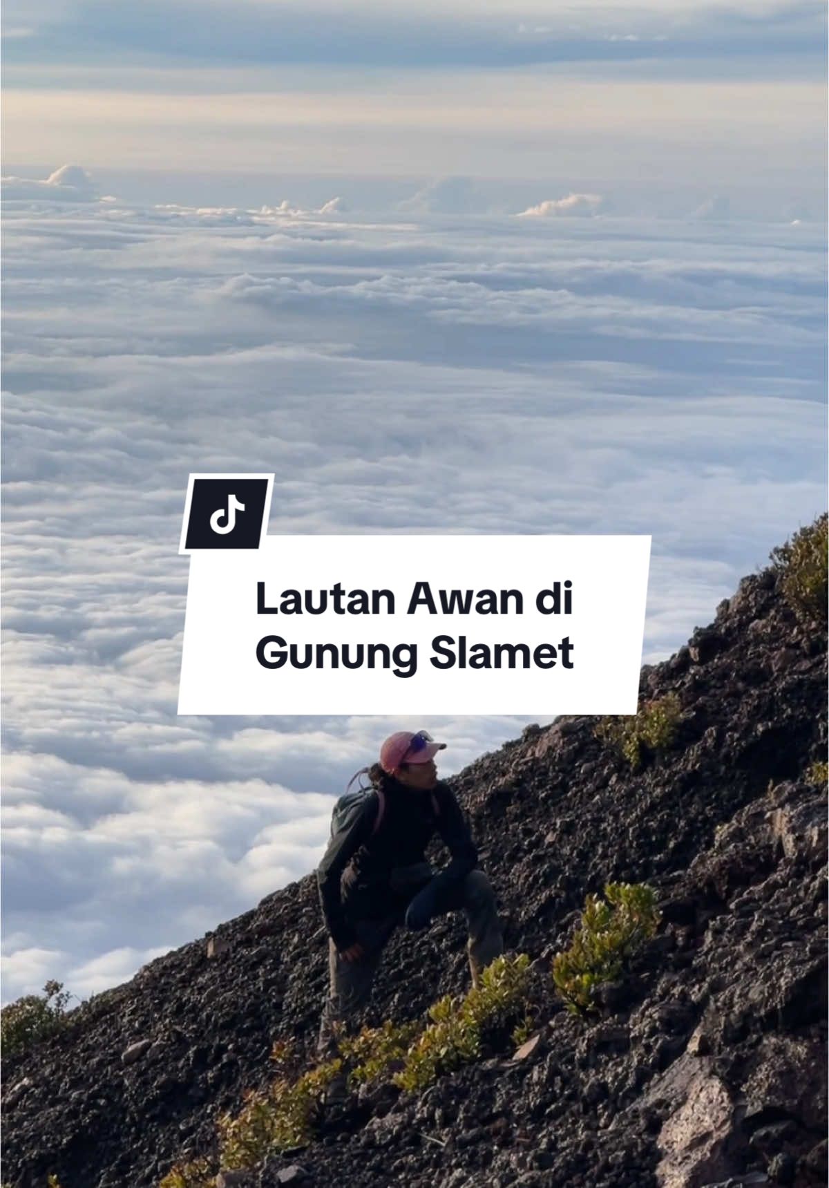 Pendakian Gunung Slamet tgl 25-26 Januari 2025 #pendakkindonesia #gunungindonesia #slametmountain 