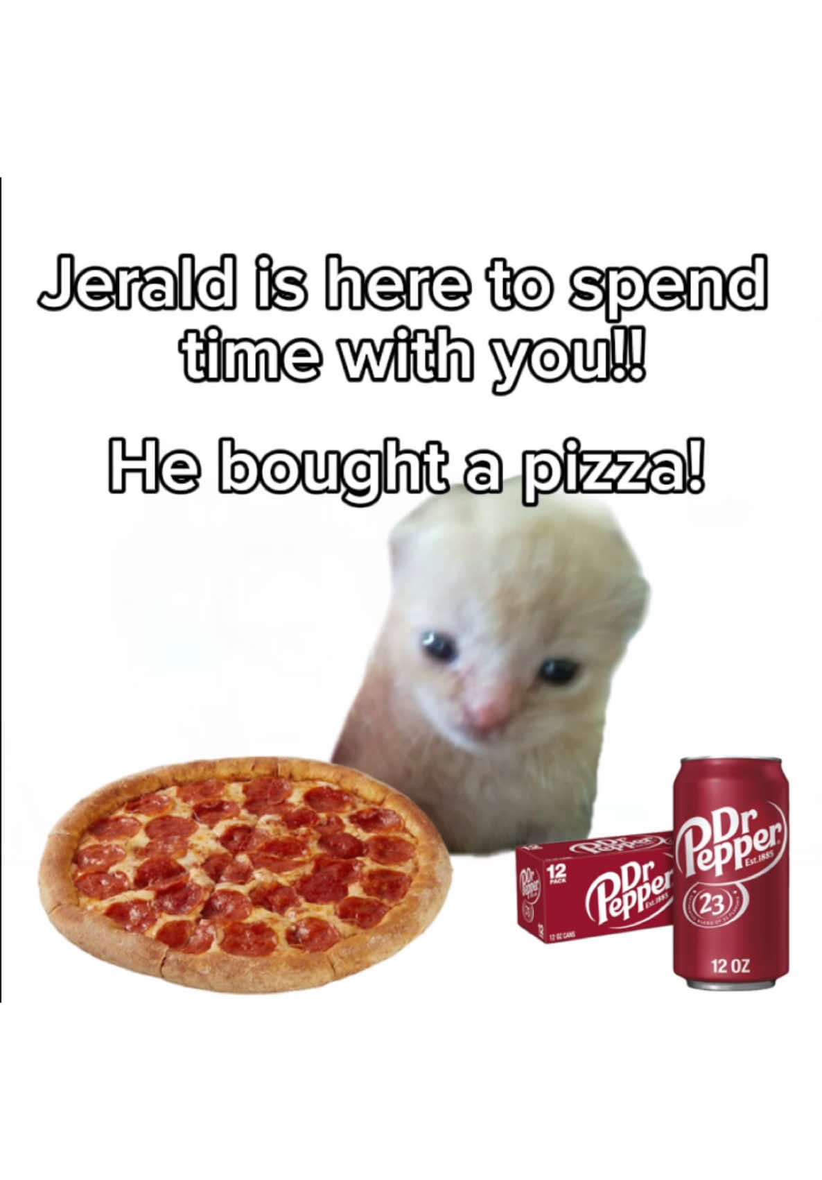 Papa johns 😼 #pizza #papajohns #drpepper #sode #qualitytime #cat #fyp #foryou