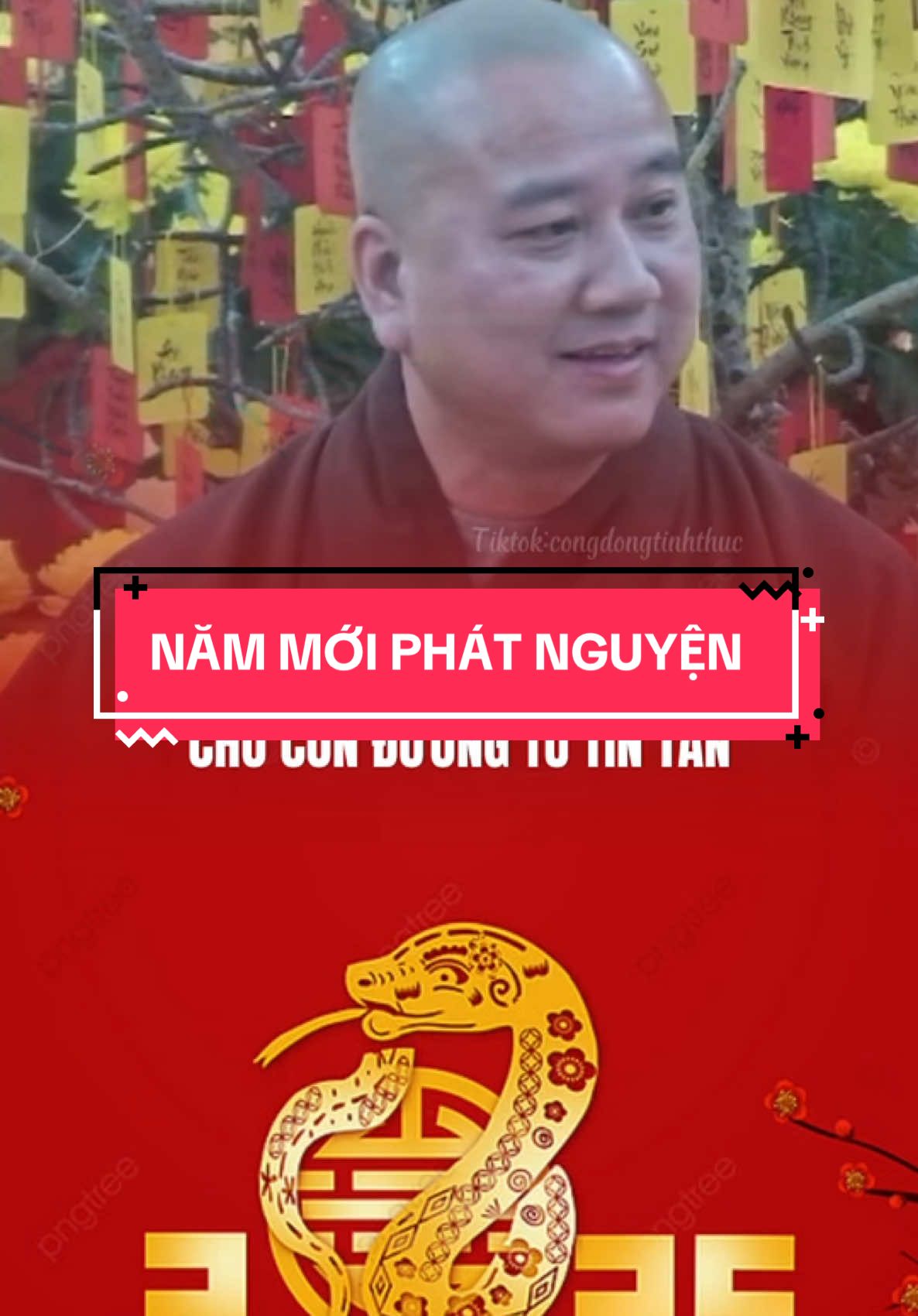 Năm mới phát nguyện #congdongtinhthuc #phatgiao #tet2025 #daophat #thichphaphoa 