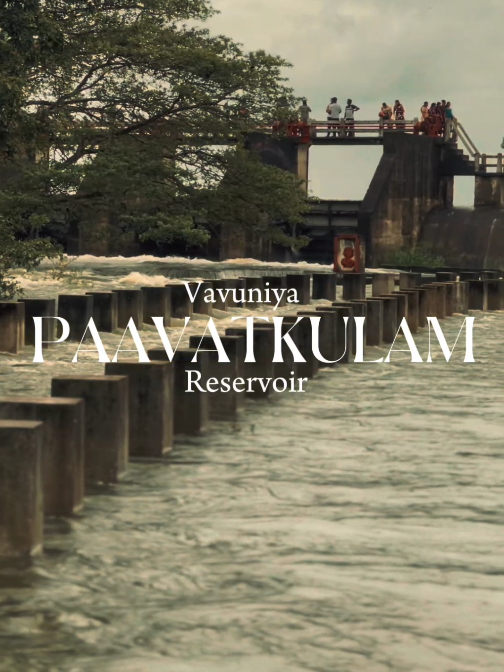 #vavuniya #travel #paavatkulam #beautiofwater  #reservoir #cupcut #fpy #trending @Paveshan Vj @SP  @Thusha...🖤 