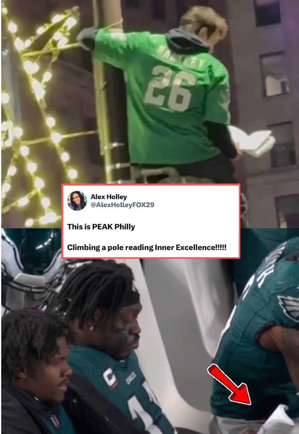 This Eagles fan climbed a pole and started reading the book that AJ Brown reads on the sideline during games 😂 (via @Alex Holley) #nfl #eagles #football #nflfootball