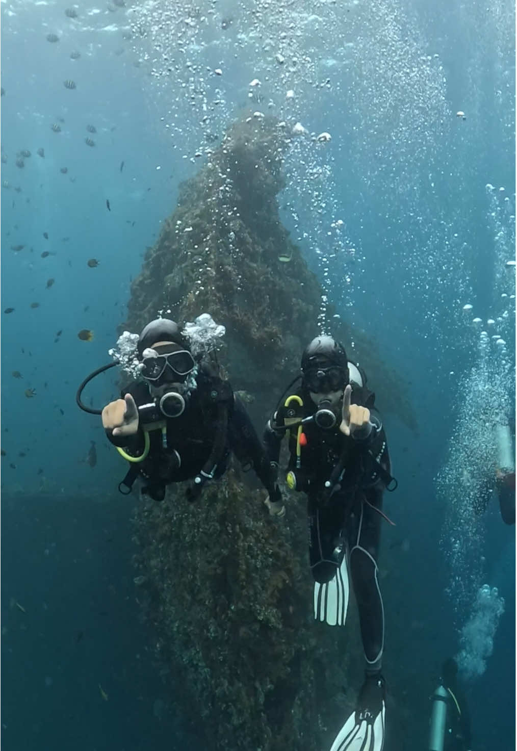 🪸🐠 #scubadiving #tulamben #bali 