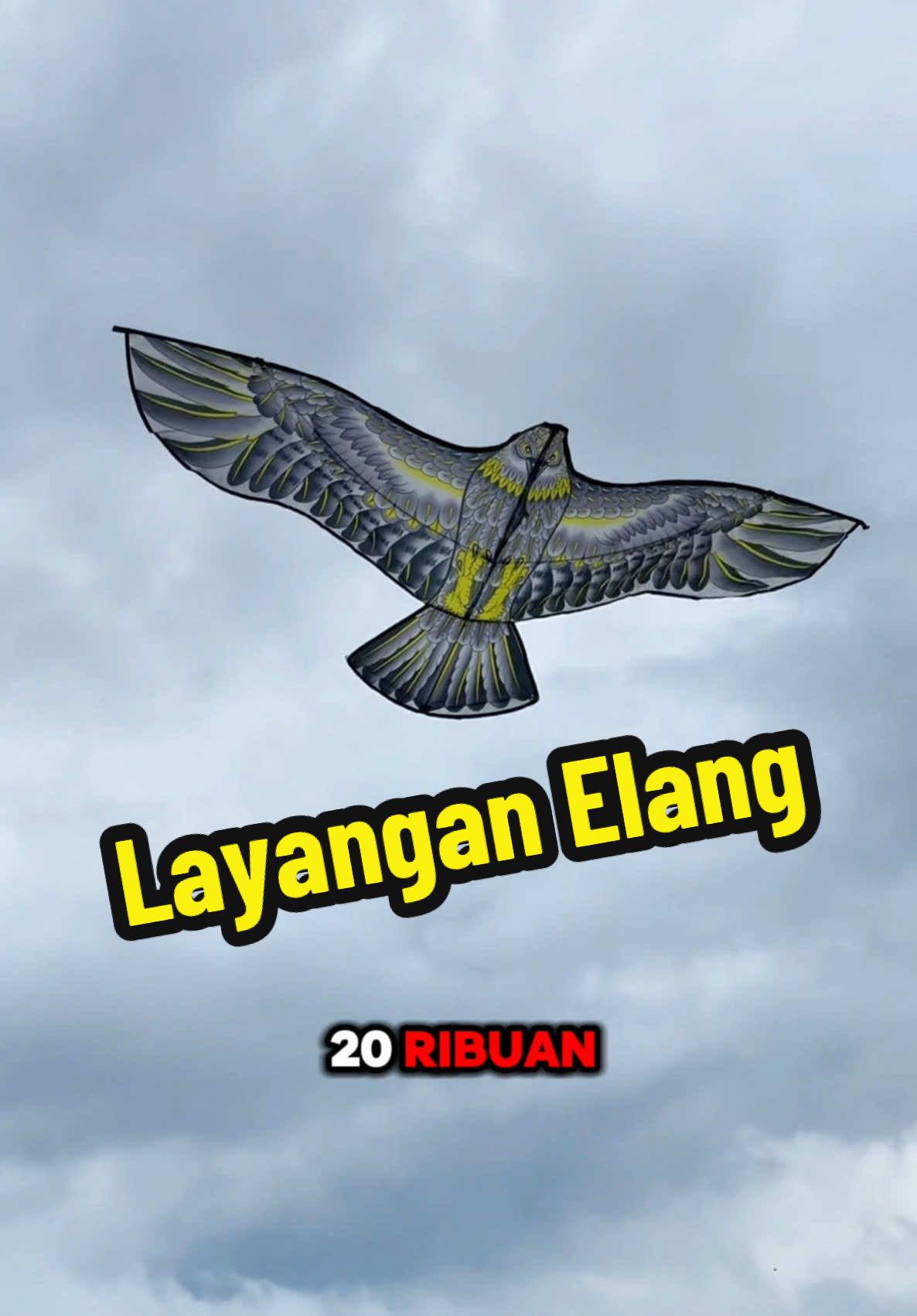 Layangan elang 1.7M #laynagan #layanglayang #layanganelang #layanganbesar 