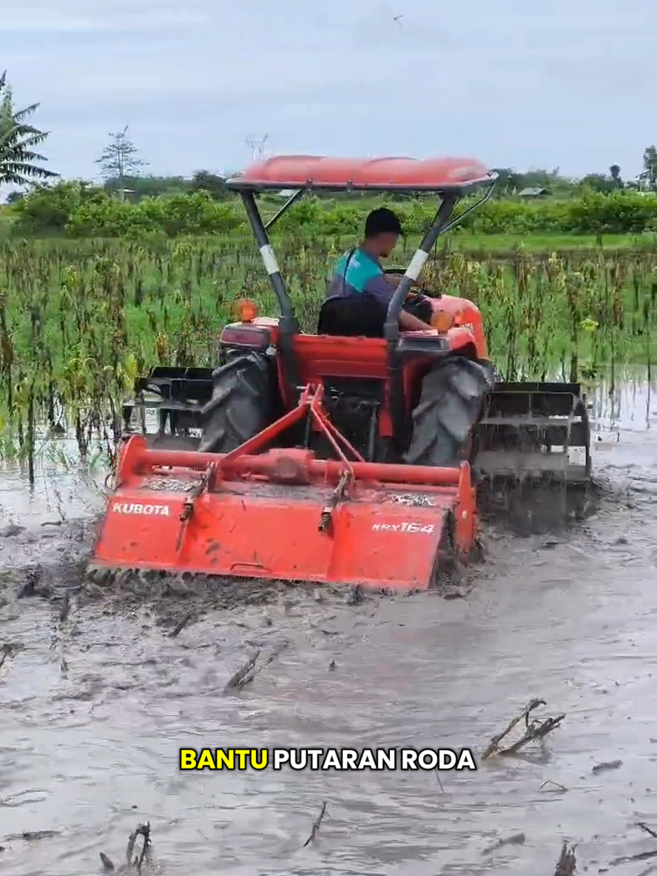 #pilaragri #pilaragrikubota #pilaragrikubotatraktor #kubota #kubota_tractor #traktorkubota #kubotal4018 #traktorl4018 #L5018 #traktorl5018 #l5018spตัวแรง🚜💨💨🔰💯  #traktorroda4 #traktor4wd #sahabatkubota #petanimaju #tanimaju #traktorsawah #traktorlampung #kubotalampung #traktorsumbawa #kubotasumbawa #traktorNTB #kubotaNTB #ekobeken #fyp #fypage 